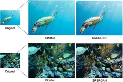 Simultaneous restoration and super-resolution GAN for underwater image enhancement